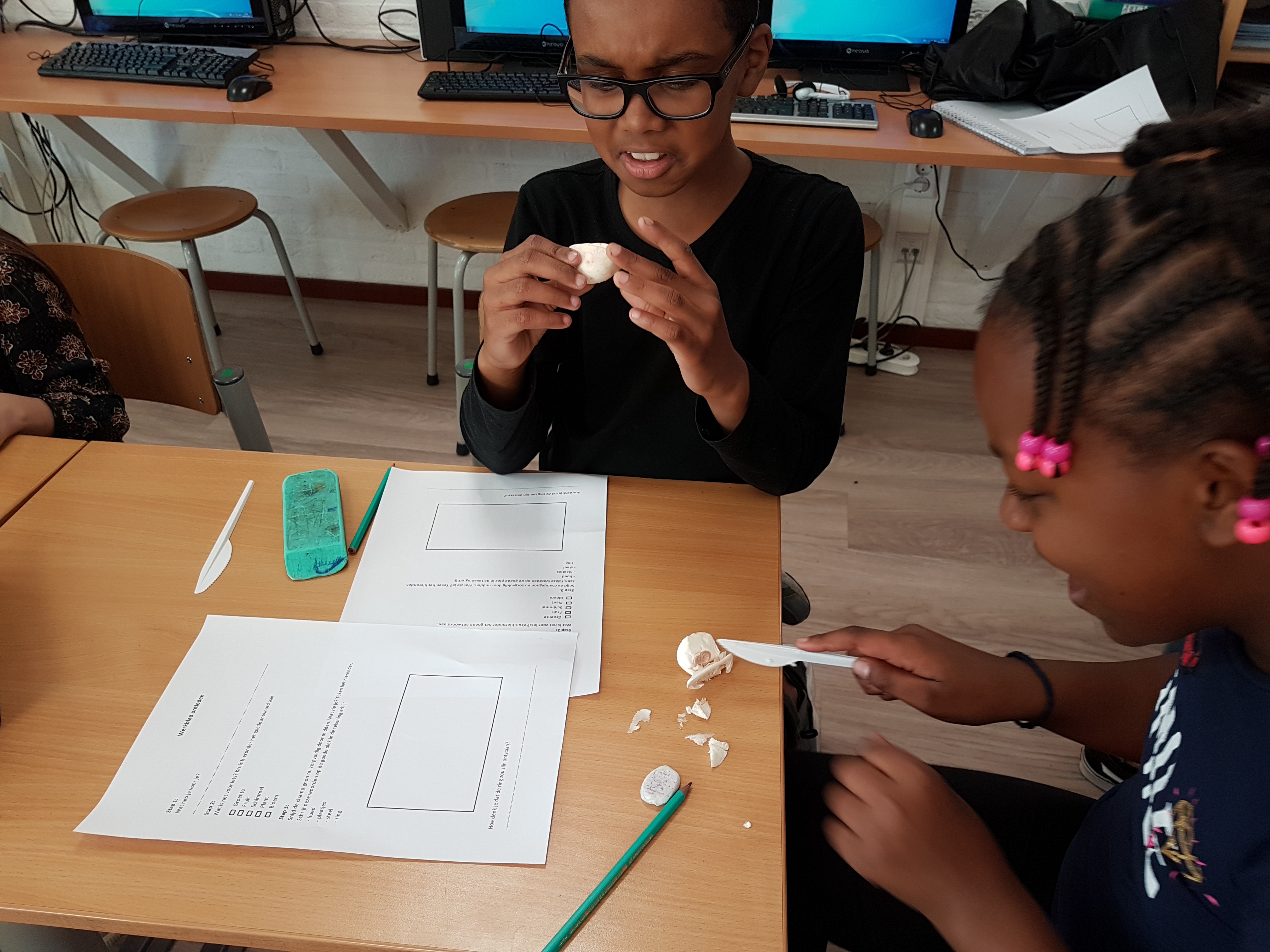 Champignons ontleden 