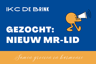 Blauw en Geel Vrijwilliger Automagneet